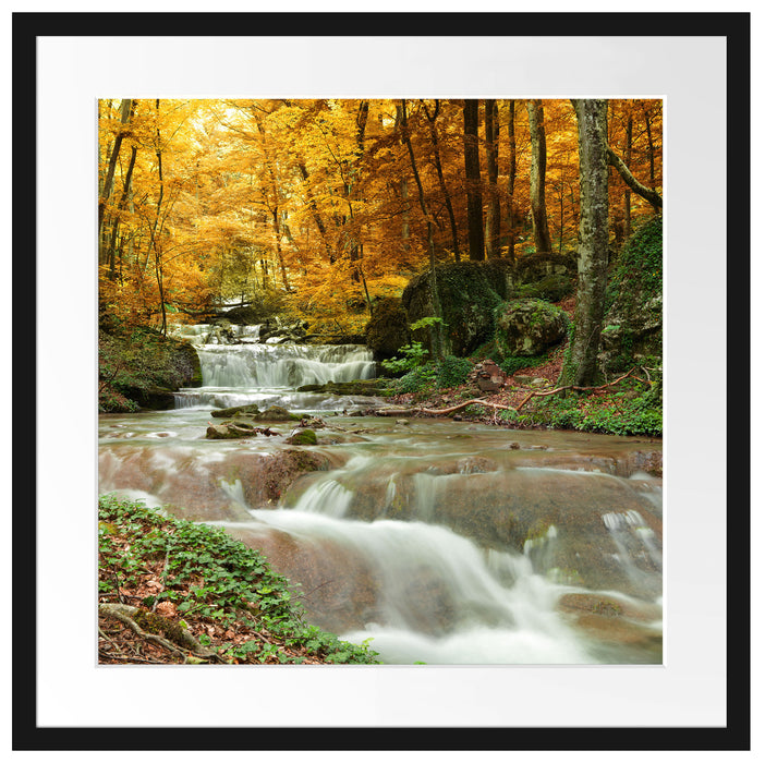 Waldbach im Herbst Passepartout Quadratisch 55x55