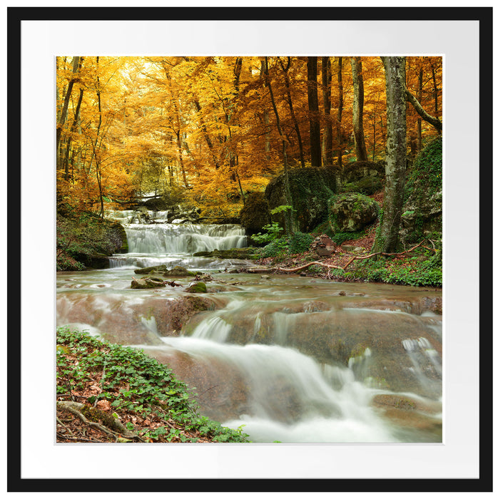 Waldbach im Herbst Passepartout Quadratisch 70x70