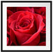 Romantische Rosen Passepartout Quadratisch 55x55