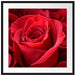 Romantische Rosen Passepartout Quadratisch 70x70