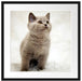 Niedliches Katzenbaby auf Teppich Passepartout Quadratisch 55x55
