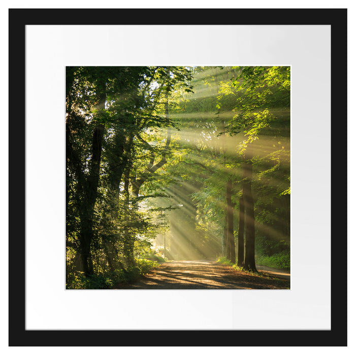Waldweg im Frühling Passepartout Quadratisch 40x40