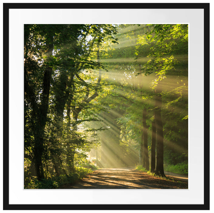 Waldweg im Frühling Passepartout Quadratisch 70x70