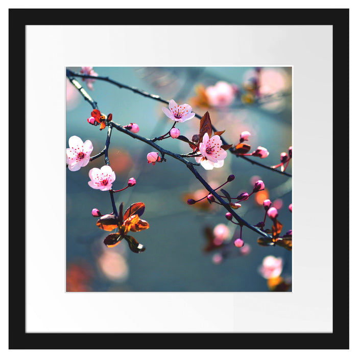 Exotische Sakura Blüten Passepartout Quadratisch 40x40