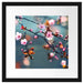 Exotische Sakura Blüten Passepartout Quadratisch 40x40