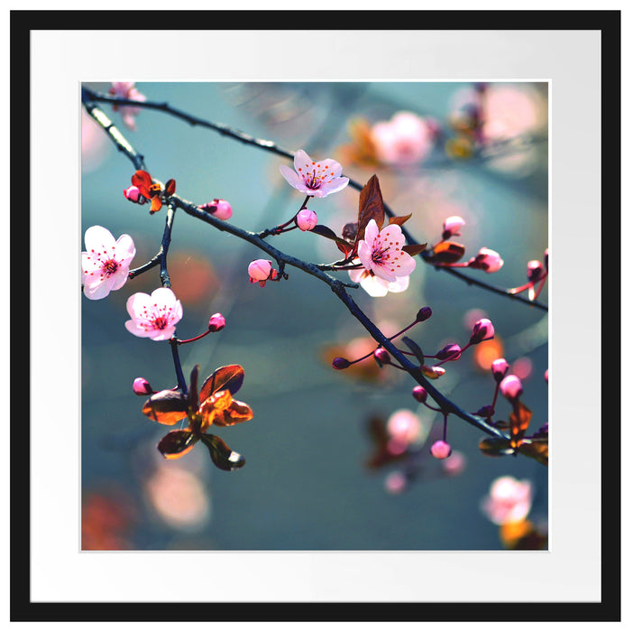 Exotische Sakura Blüten Passepartout Quadratisch 55x55