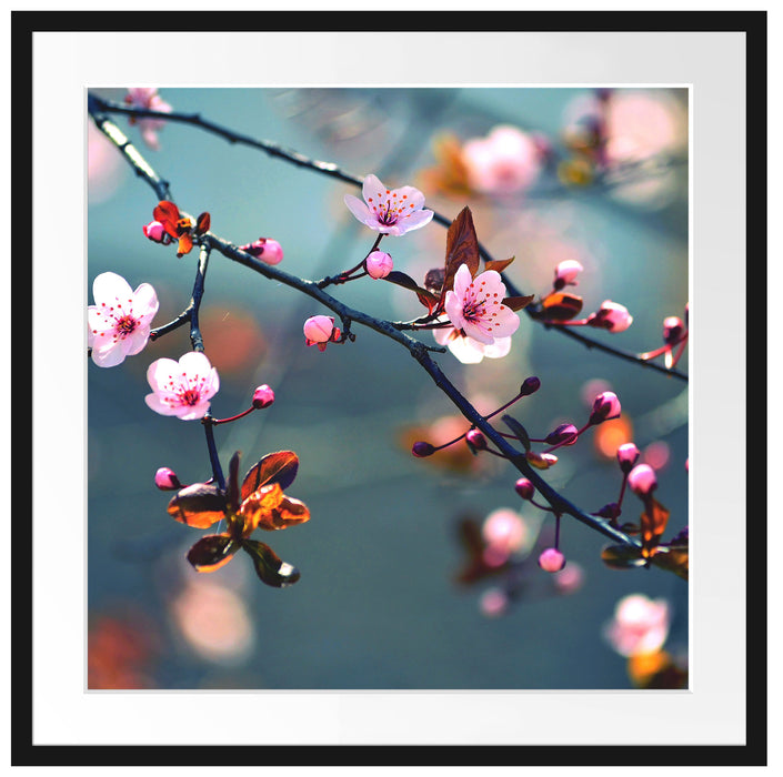 Exotische Sakura Blüten Passepartout Quadratisch 70x70