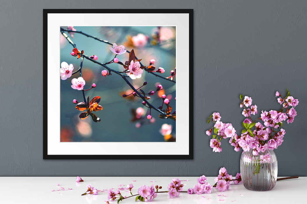 Exotische Sakura Blüten Quadratisch Passepartout Dekovorschlag