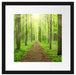 Sonne im Wald Passepartout Quadratisch 40x40