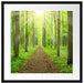 Sonne im Wald Passepartout Quadratisch 55x55