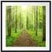 Sonne im Wald Passepartout Quadratisch 70x70