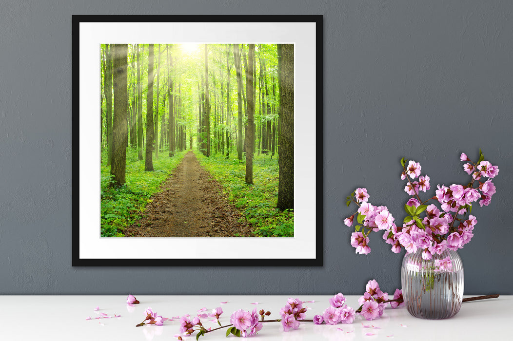 Sonne im Wald Quadratisch Passepartout Dekovorschlag