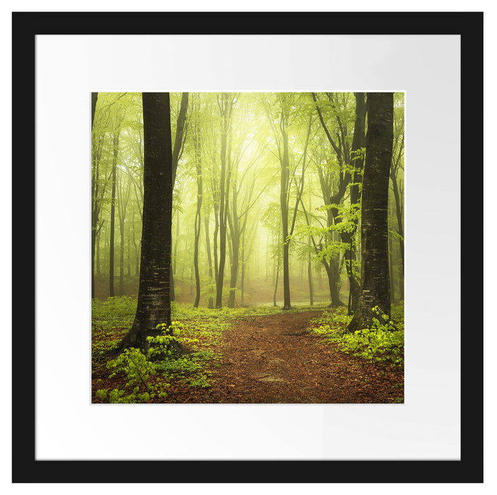 Weg im Wald Passepartout Quadratisch 40x40