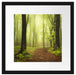 Weg im Wald Passepartout Quadratisch 40x40