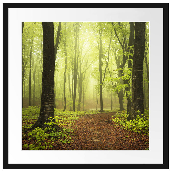 Weg im Wald Passepartout Quadratisch 55x55