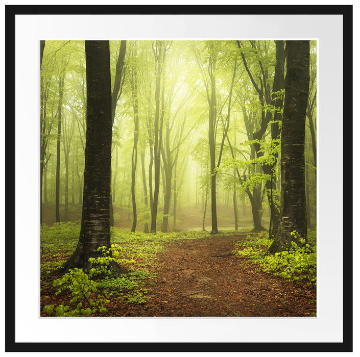 Weg im Wald Passepartout Quadratisch 70x70