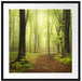 Weg im Wald Passepartout Quadratisch 70x70