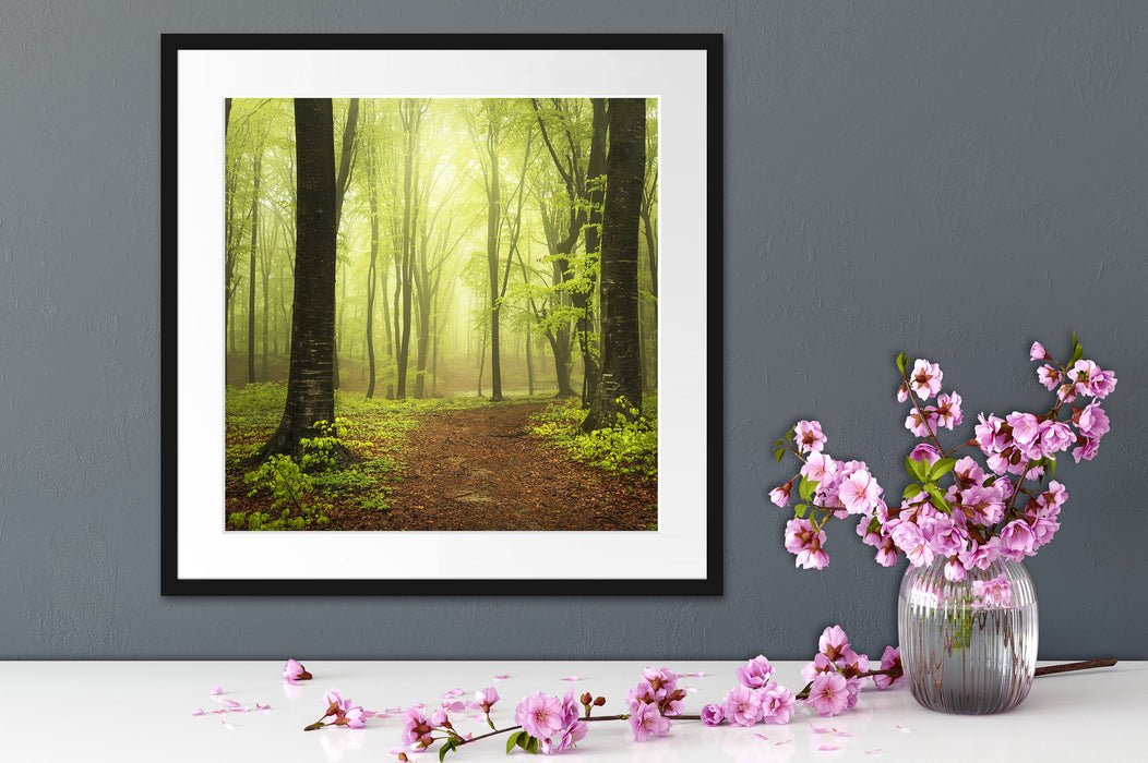 Weg im Wald Quadratisch Passepartout Dekovorschlag