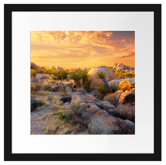 Joshua Wüste im Sonnenuntergang Passepartout Quadratisch 40x40