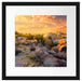 Joshua Wüste im Sonnenuntergang Passepartout Quadratisch 40x40