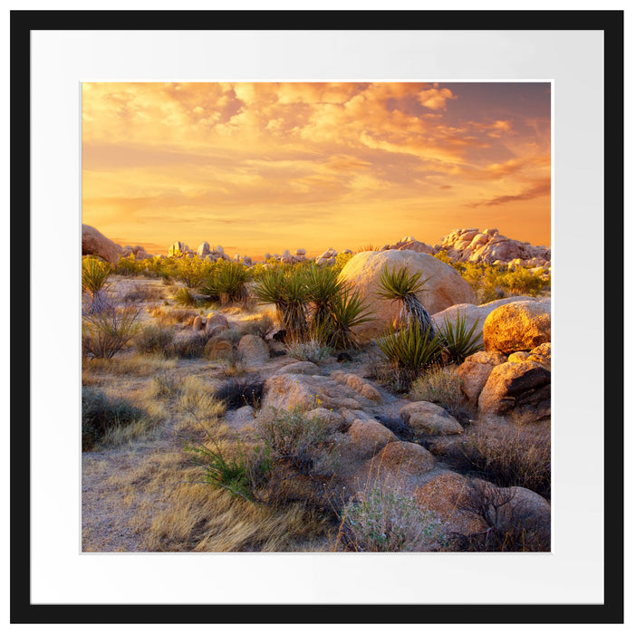 Joshua Wüste im Sonnenuntergang Passepartout Quadratisch 55x55