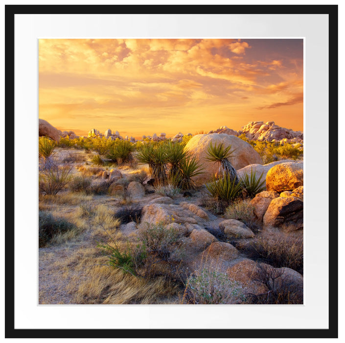 Joshua Wüste im Sonnenuntergang Passepartout Quadratisch 70x70