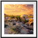 Joshua Wüste im Sonnenuntergang Passepartout Quadratisch 70x70