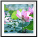 rosa Lotusblüte im Teich Passepartout Quadratisch 70x70
