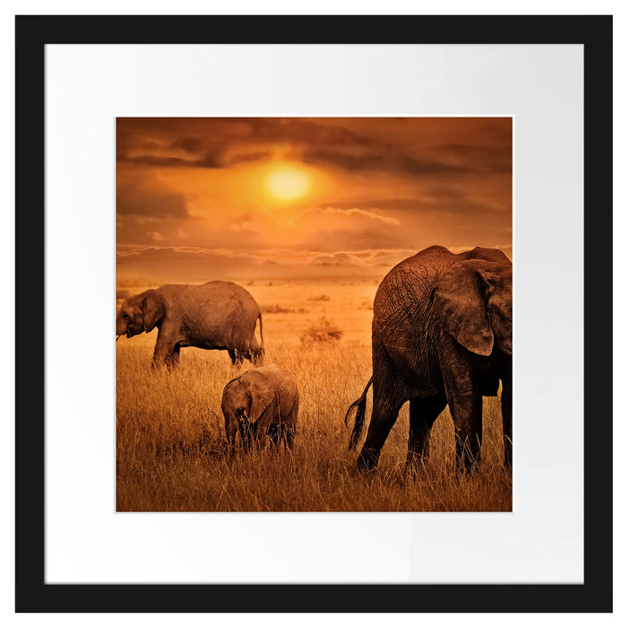 Elefanten in der Savanne Passepartout Quadratisch 40x40