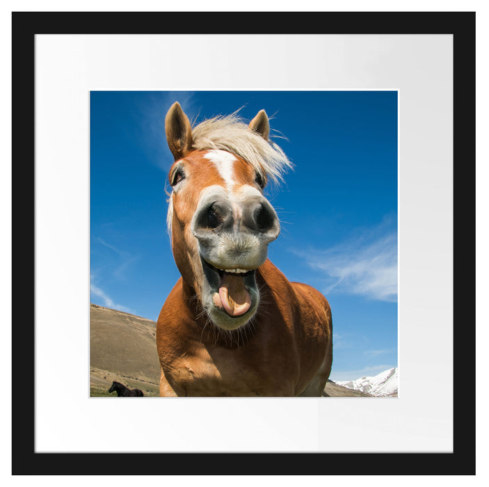 Lustiges Pferd in der Natur Passepartout Quadratisch 40x40