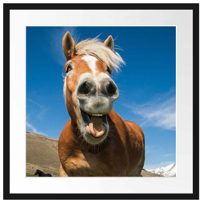 Lustiges Pferd in der Natur Passepartout Quadratisch 55x55