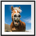 Lustiges Pferd in der Natur Passepartout Quadratisch 55x55