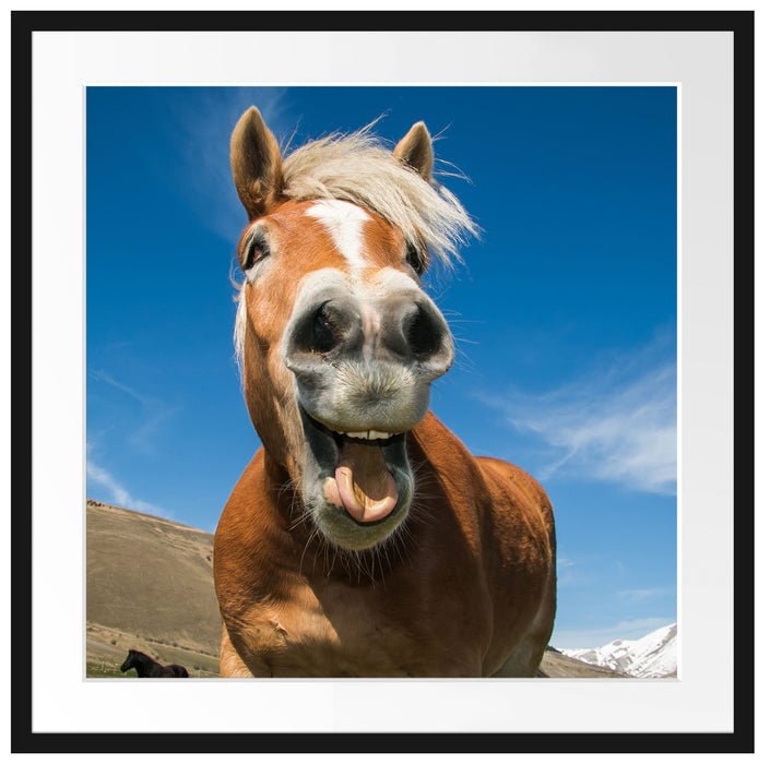 Lustiges Pferd in der Natur Passepartout Quadratisch 70x70