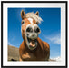 Lustiges Pferd in der Natur Passepartout Quadratisch 70x70