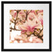 Rosa Magnolienblüten im Frühling Passepartout Quadratisch 40x40