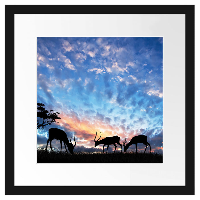Tiere in der Natur am Abend Passepartout Quadratisch 40x40
