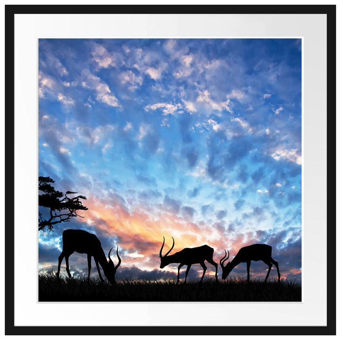 Tiere in der Natur am Abend Passepartout Quadratisch 70x70
