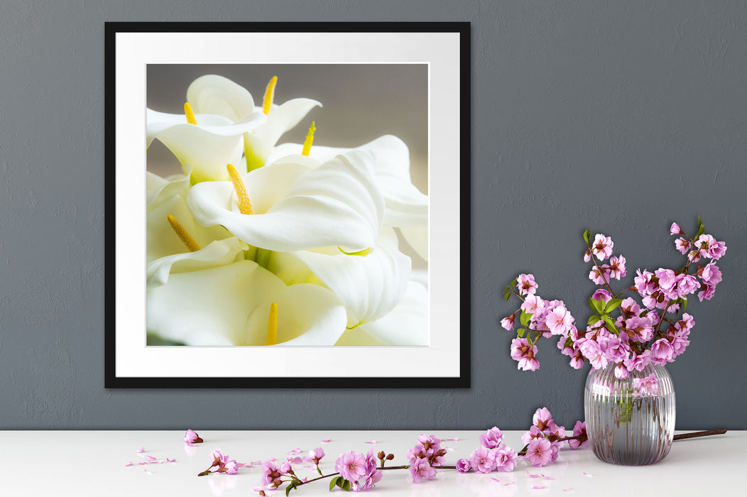 Wunderschöne weiße Calla Lilien Quadratisch Passepartout Dekovorschlag
