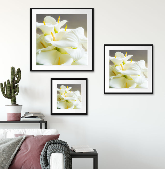 Wunderschöne weiße Calla Lilien Quadratisch Passepartout Wohnzimmer