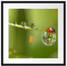 Marienkäfer Wassertropfen Passepartout Quadratisch 55x55