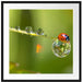 Marienkäfer Wassertropfen Passepartout Quadratisch 70x70