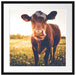 Kuh auf Blumenwiese Passepartout Quadratisch 55x55