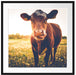 Kuh auf Blumenwiese Passepartout Quadratisch 70x70