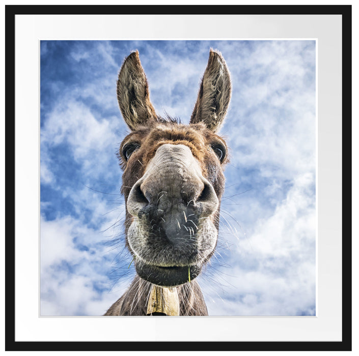 Lustiger Esel Passepartout Quadratisch 70x70