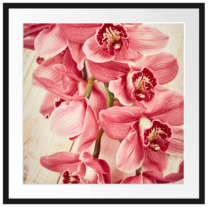 Rosane Orchideenblüten Passepartout Quadratisch 70x70