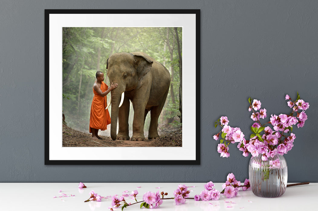 wunderschöner Elefant mit Mönch Quadratisch Passepartout Dekovorschlag