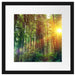 Wald bei Sonnenlicht Passepartout Quadratisch 40x40