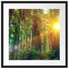 Wald bei Sonnenlicht Passepartout Quadratisch 55x55