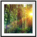 Wald bei Sonnenlicht Passepartout Quadratisch 70x70
