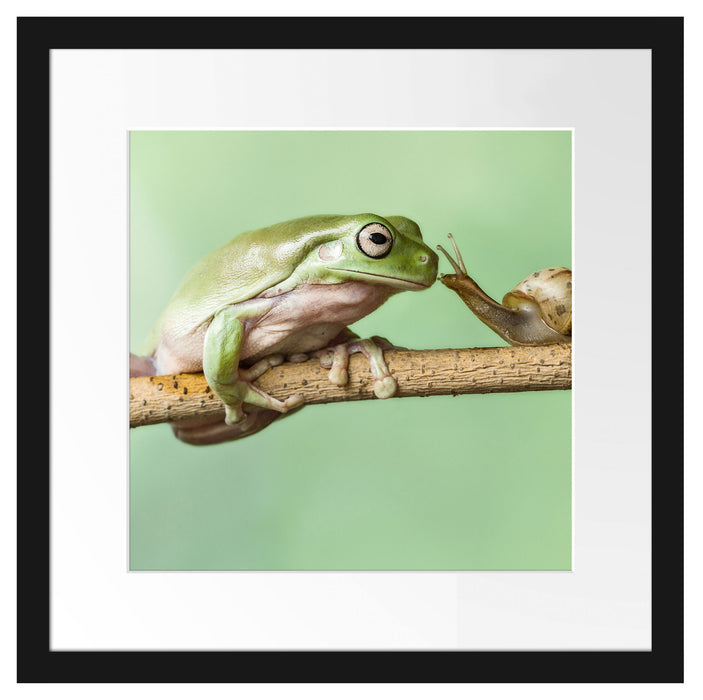 der Frosch und die Schnecke Passepartout Quadratisch 40x40